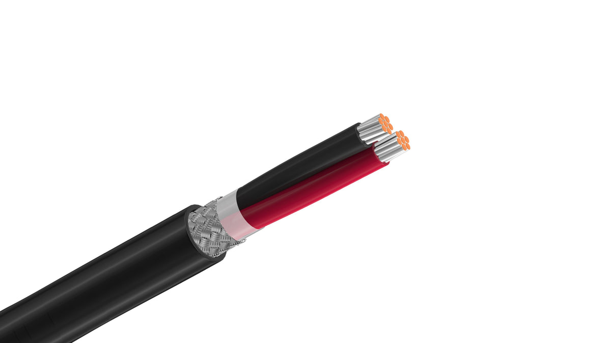 Belden 8441 22 AWG 2-Conductor Shielded Cable